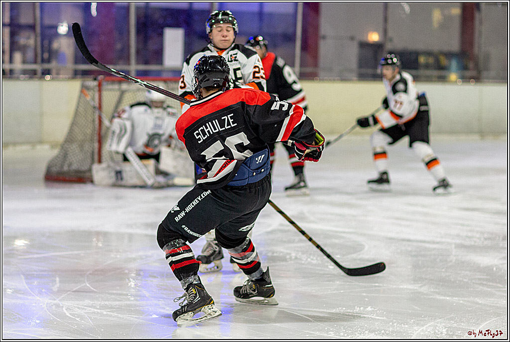 Eissportverein Bergisch Gladbach e.V.–RealStars - Frankfurter Loewen 7-2, 30.03.2019